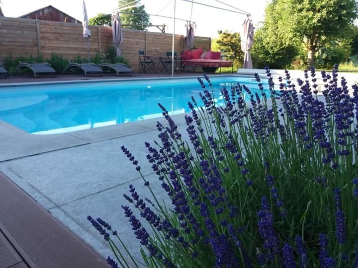 Chambres D Hotes ,Hotel ,Secret D'Une Nuit A Vicq Pres De Onnaing,Avec Piscine Exteriér fotografie